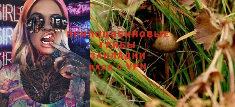 Галлюциногенные грибы Magic Shrooms  купить закладку  Грайворон 